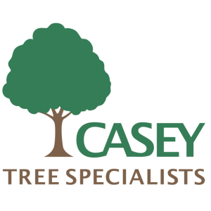 Casey Tree Specialists