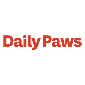 Daily Paws