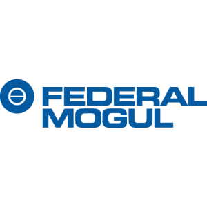 Federal Mogul 01