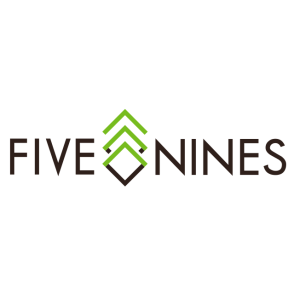 Five Nines Technology Group