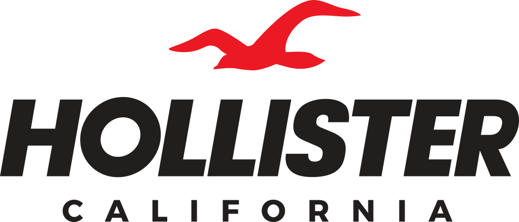 Hollister Logo Graphic Hoodie | Hamilton Place