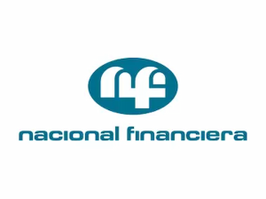Nacional Financiera Logo