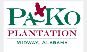 Pako plantation