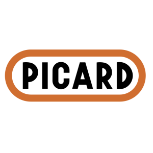 Picard Hammer