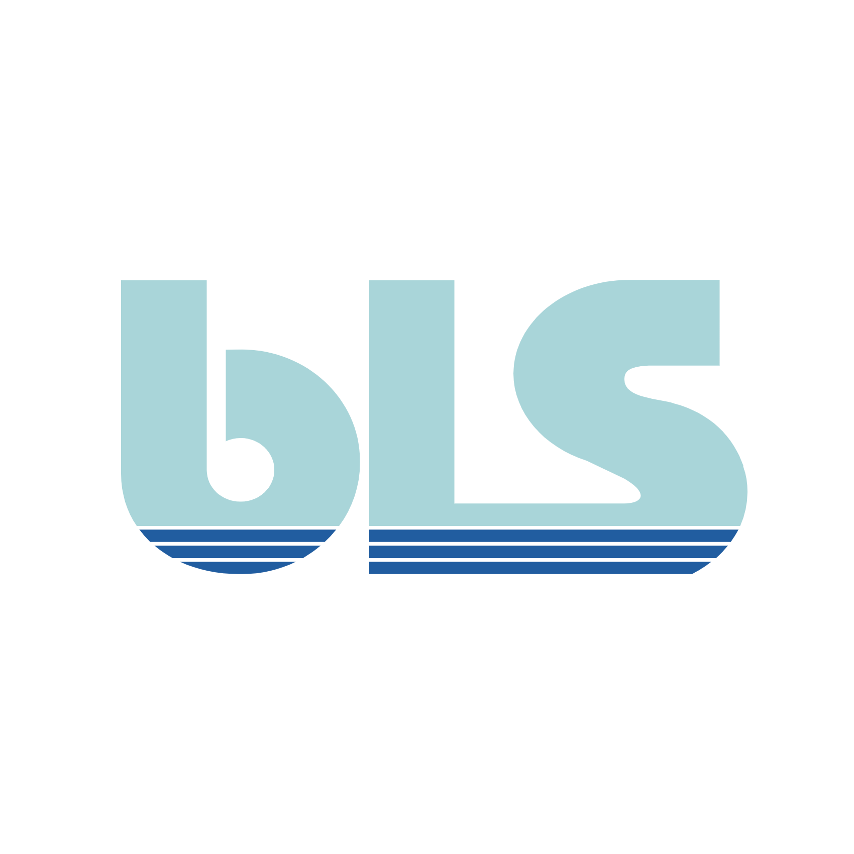 BLS International's Pivotal Role in Estonia's E-Residency Program