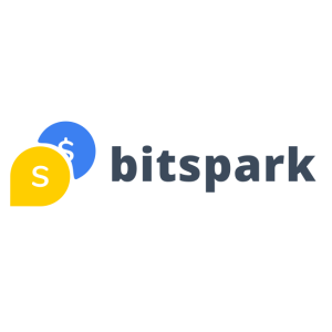 bitspark logo vector