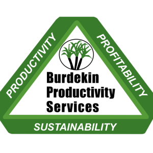 burdekin productivity services bps logo vector