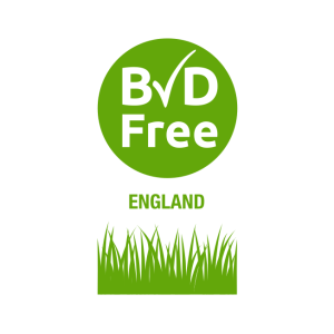 bvdfree england logo vector
