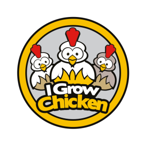 i grow chicken logo vector