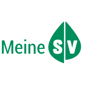 meinesv logo vector