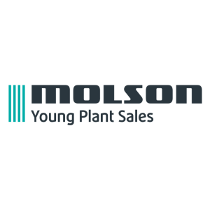 molson young plant sales logo vector