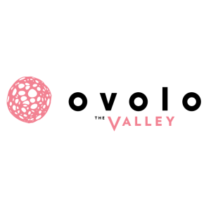 ovolo the valley logo vector
