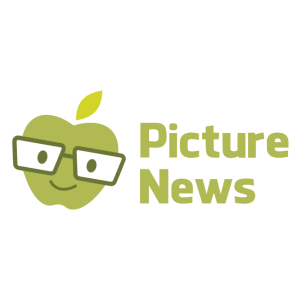 picture news ltd logo vector