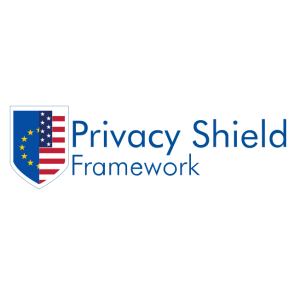 privacy shield logo vector