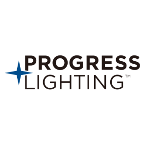 progress lighting logo vector