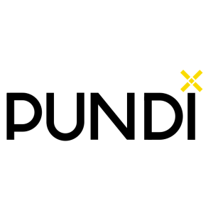 pundi x logo vector