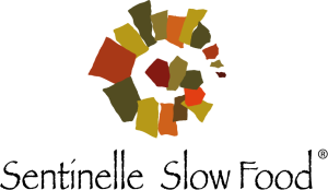 sentinelle slow food logo vector