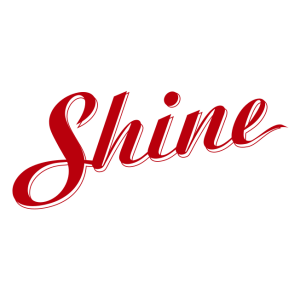 shine window care logo vector