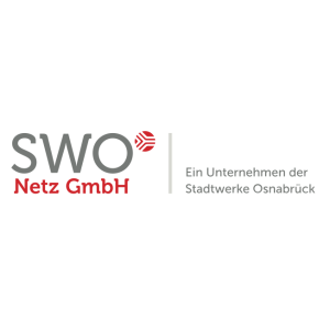 swo netz gmbh logo vector