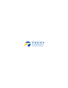teco energy company