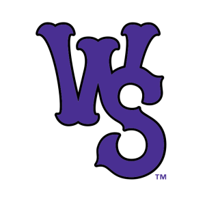 winston salem dash logo vector