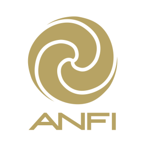 Anfi Group