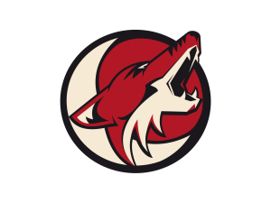 Coyotes Saltillo Hockey