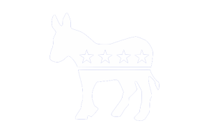 Democratic Party USA Flag 1