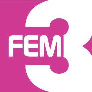 FEM3 New