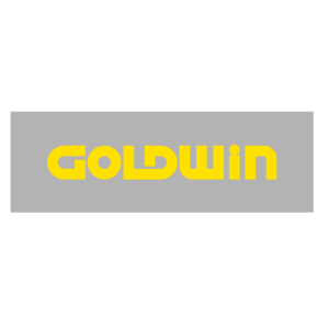 GOLDWIN INC