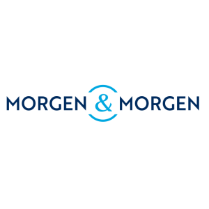 MORGEN & MORGEN GmbH