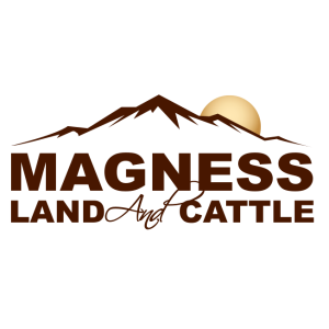 Magness Land and Cattle