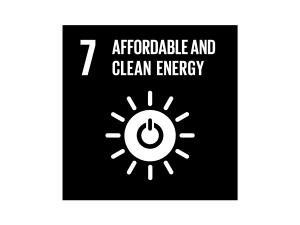 The Global Goals Affordable and Clean Energy Black