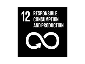 The Global Goals Responsible Consumption and Production Black