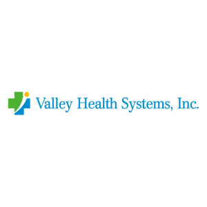 Valley Health Systems Inc