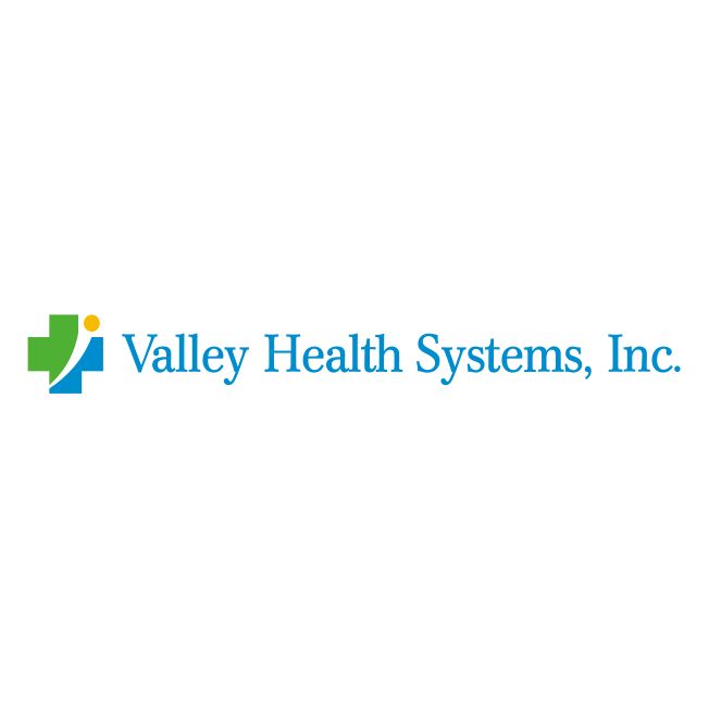 Valley Health Systems Inc