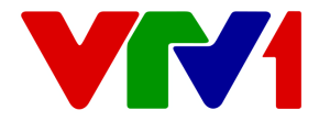 Vietnam Television VTV1 2013