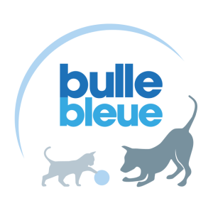 bulle bleue logo vector