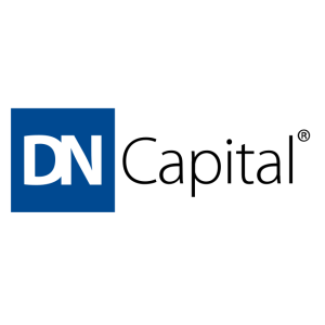 dn capital logo vector