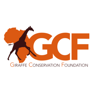 giraffe conservation foundation gcf