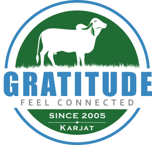gratitude final logo