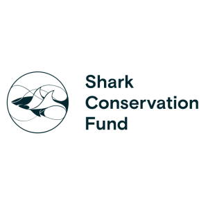 shark conservation fund scf logo vector