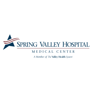 spring valley hospital medical center logo vector