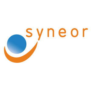 syneor consulting logo vector