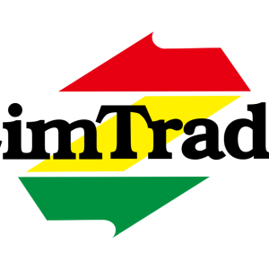 zimtrade logo vector
