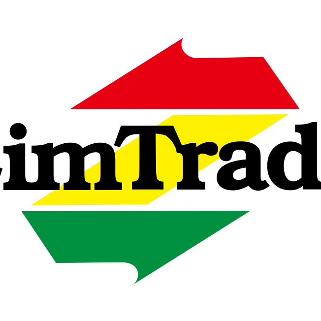zimtrade logo vector