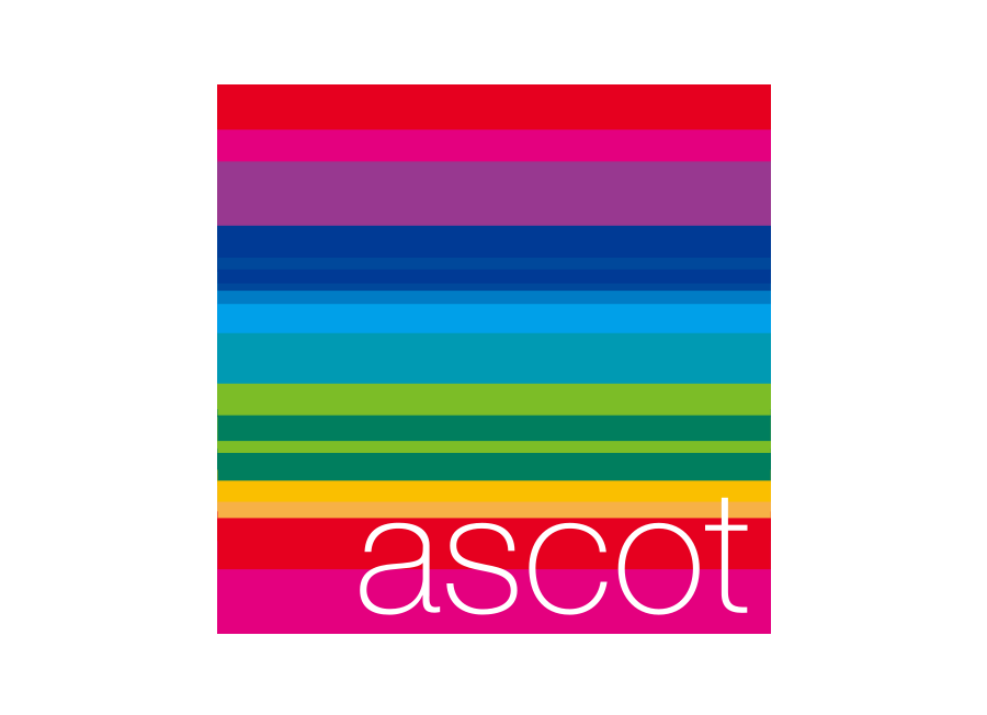 Ascot Group