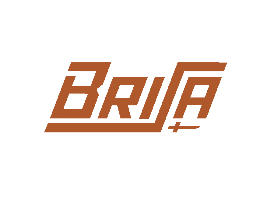 Brisa Ltd