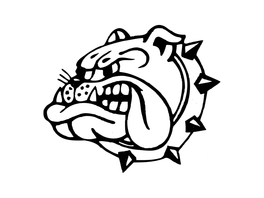 bulldog logo vector