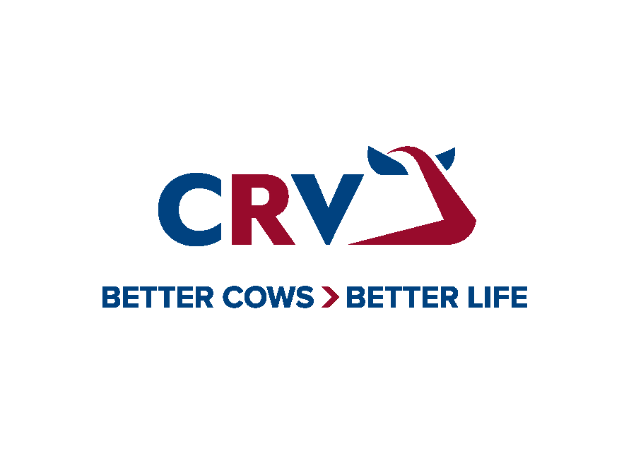 CRV International